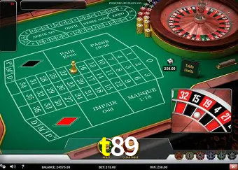 Descubra o Mundo do Cassino Online com t89